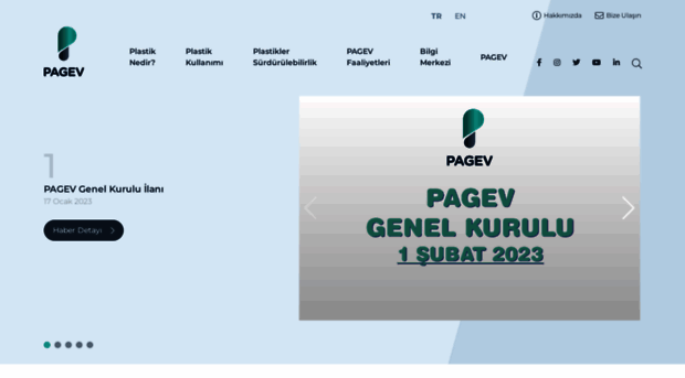 pagev.net