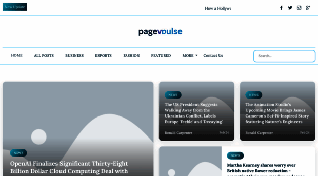 pagevistapulse.com