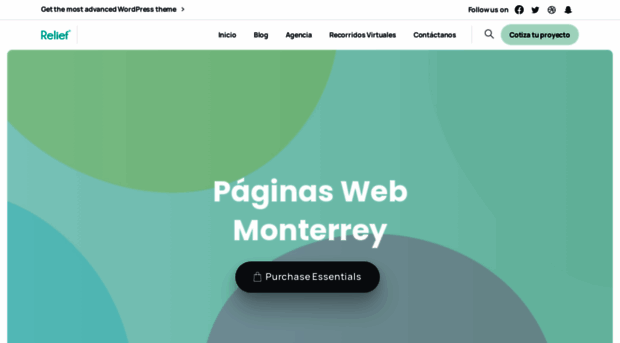 paginaswebenmonterrey.com.mx