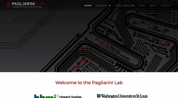 pagliarinilab.org