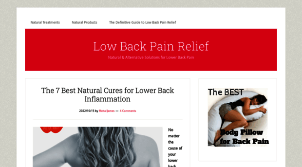 pain-in-lower-back.com