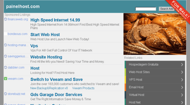 painelhost.com