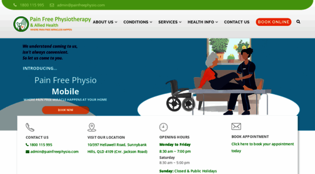 painfreephysio.com