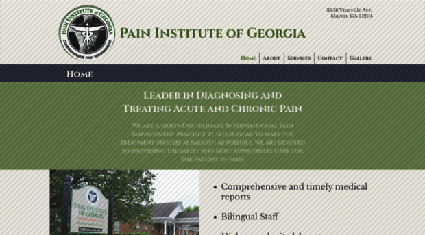 paininstituteofgeorgia.com