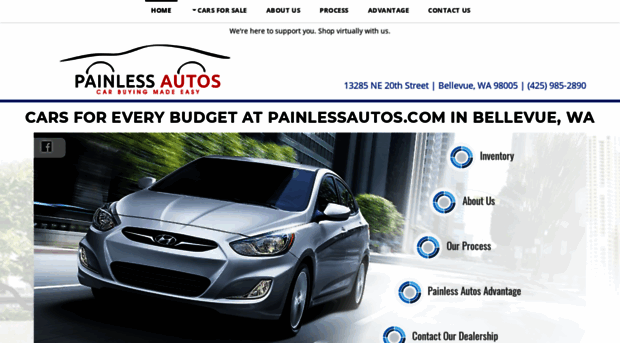 painlessautos.com