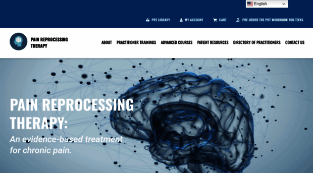 painreprocessingtherapy.com