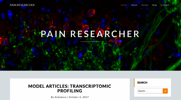 painresearcher.net