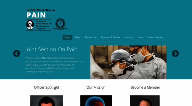 painsection.org