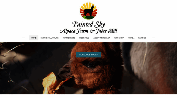 paintedskyalpacafarm.com