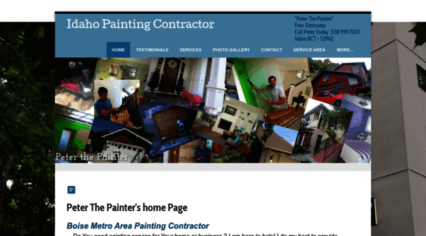 paintingcontractor.biz