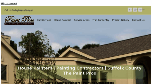 paintproli.com