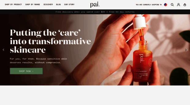 paiskincare.us