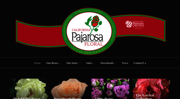 pajarosa.com