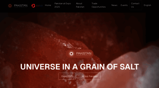 pakistanexpo2025.com