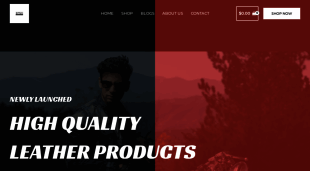 pakistanileather.com
