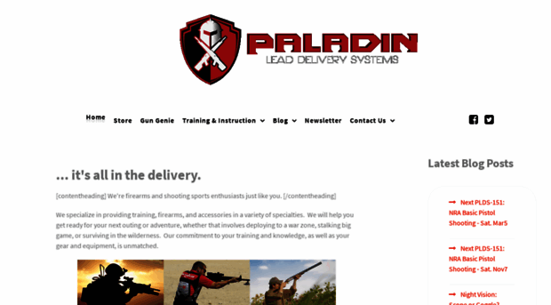 paladinleaddeliverysystems.com