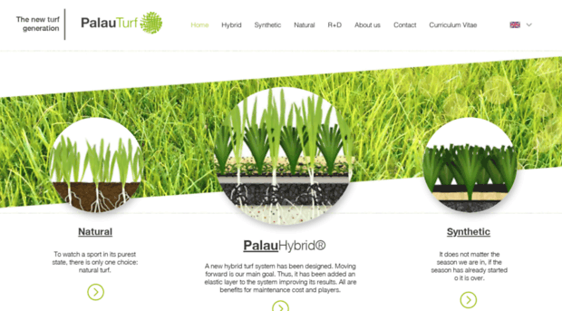 palauturf.com