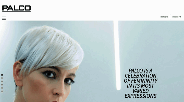palcoprofessional.com
