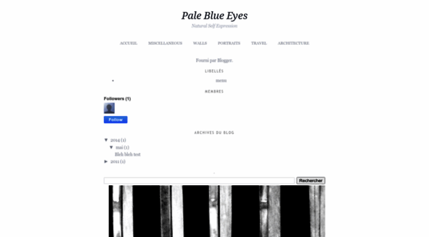paleblue-eyes.blogspot.com