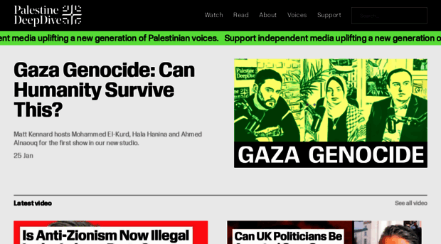 palestinedeepdive.com