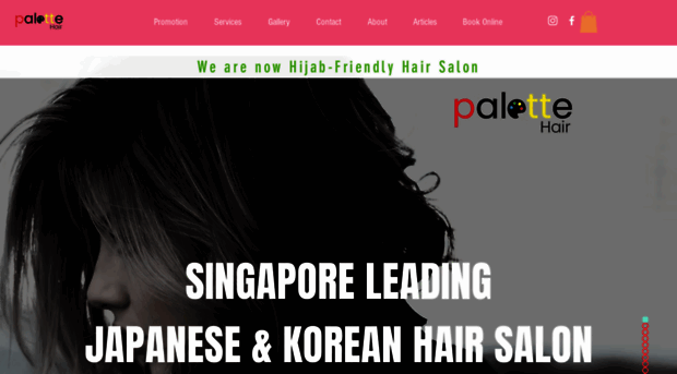 palettehair.sg