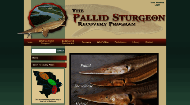 pallidsturgeon.org