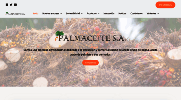 palmaceite.com