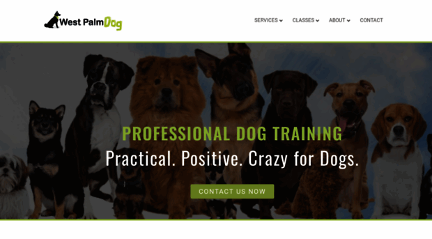 palmbeachdogtraining.com