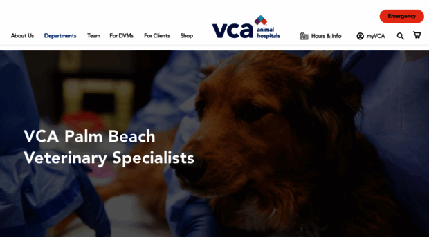 palmbeachvetspecialists.com