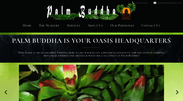 palmbuddha.com