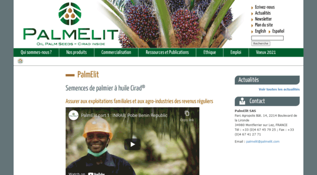 palmelit.com