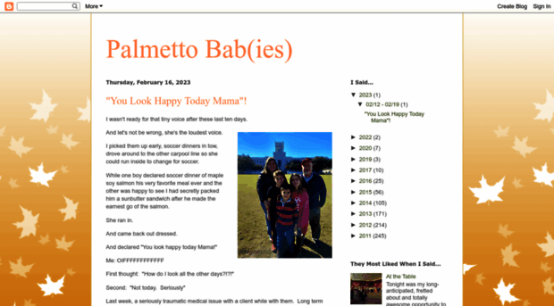 palmettobaby.blogspot.com