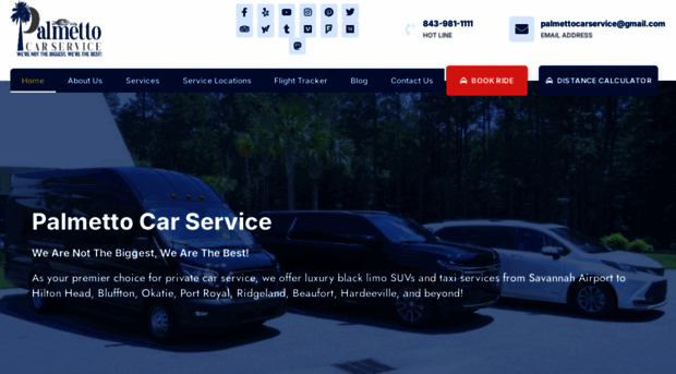 palmettocarservice.com