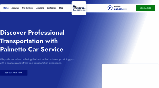 palmettocarservice.net