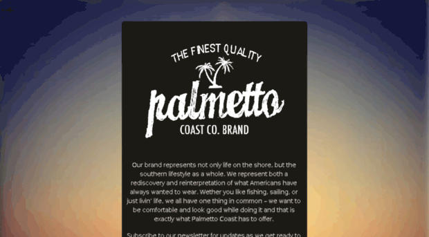 palmettocoastco.com