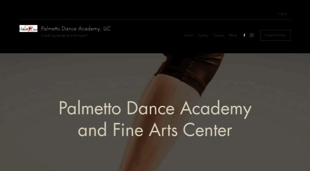 palmettodanceacademy.com