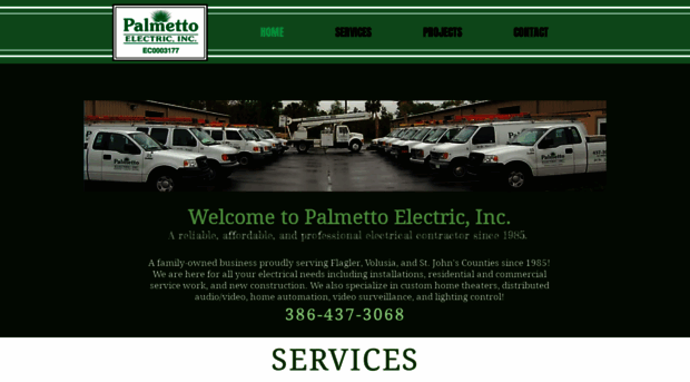 palmettoelectricinc.com