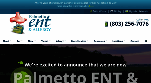 palmettoentallergy.com