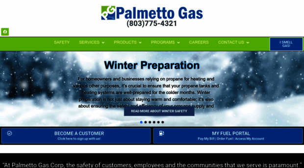 palmettogascorp.com