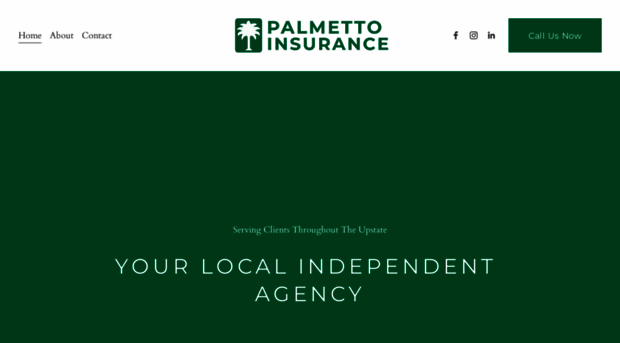 palmettoinsurance.com