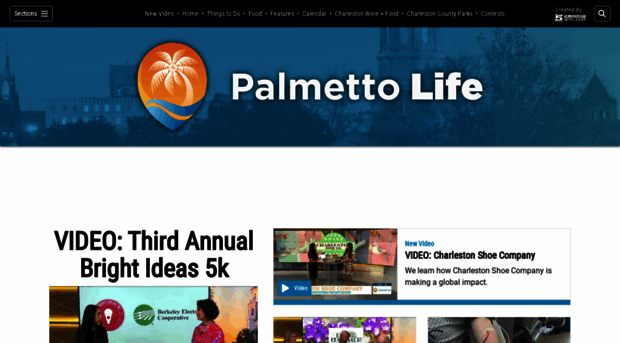 palmettolifesc.com