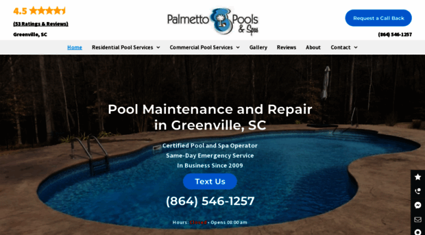 palmettopoolsandspas.com