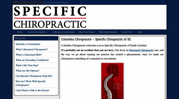 palmettospecificchiropractic.com