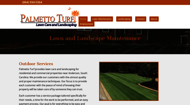 palmettoturf.com