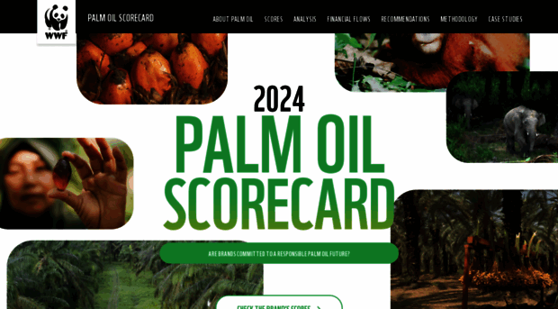 palmoilscorecard.panda.org