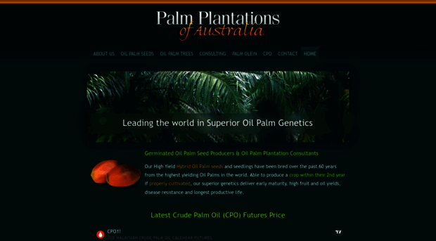 palmplantations.com.au