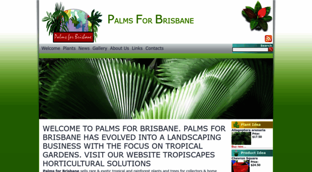 palmsforbrisbane.com.au