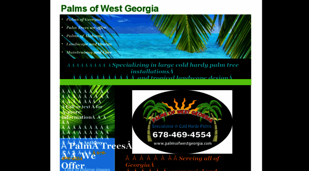 palmsofwestgeorgia.com