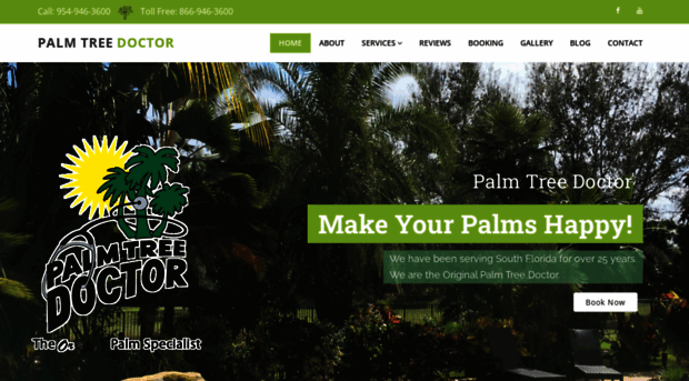 palmtreedr.com