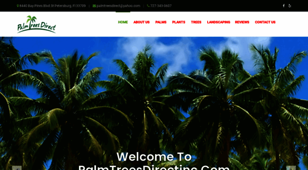 palmtreesdirectinc.com